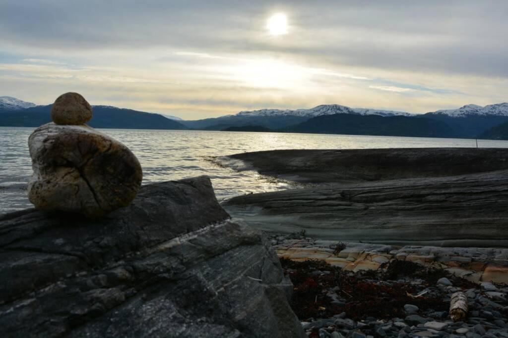 Treehut, Nature, Birds, Silence And Fjord Samlanes Exterior foto