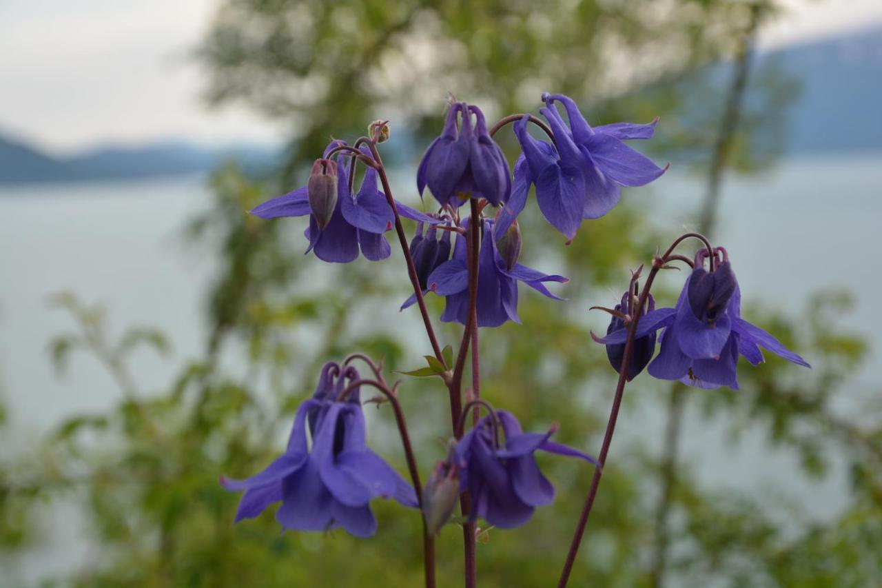 Treehut, Nature, Birds, Silence And Fjord Samlanes Exterior foto