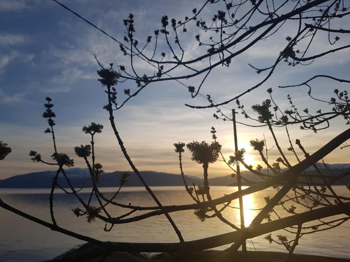 Treehut, Nature, Birds, Silence And Fjord Samlanes Exterior foto
